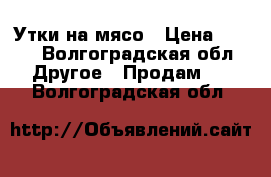 Утки на мясо › Цена ­ 250 - Волгоградская обл. Другое » Продам   . Волгоградская обл.